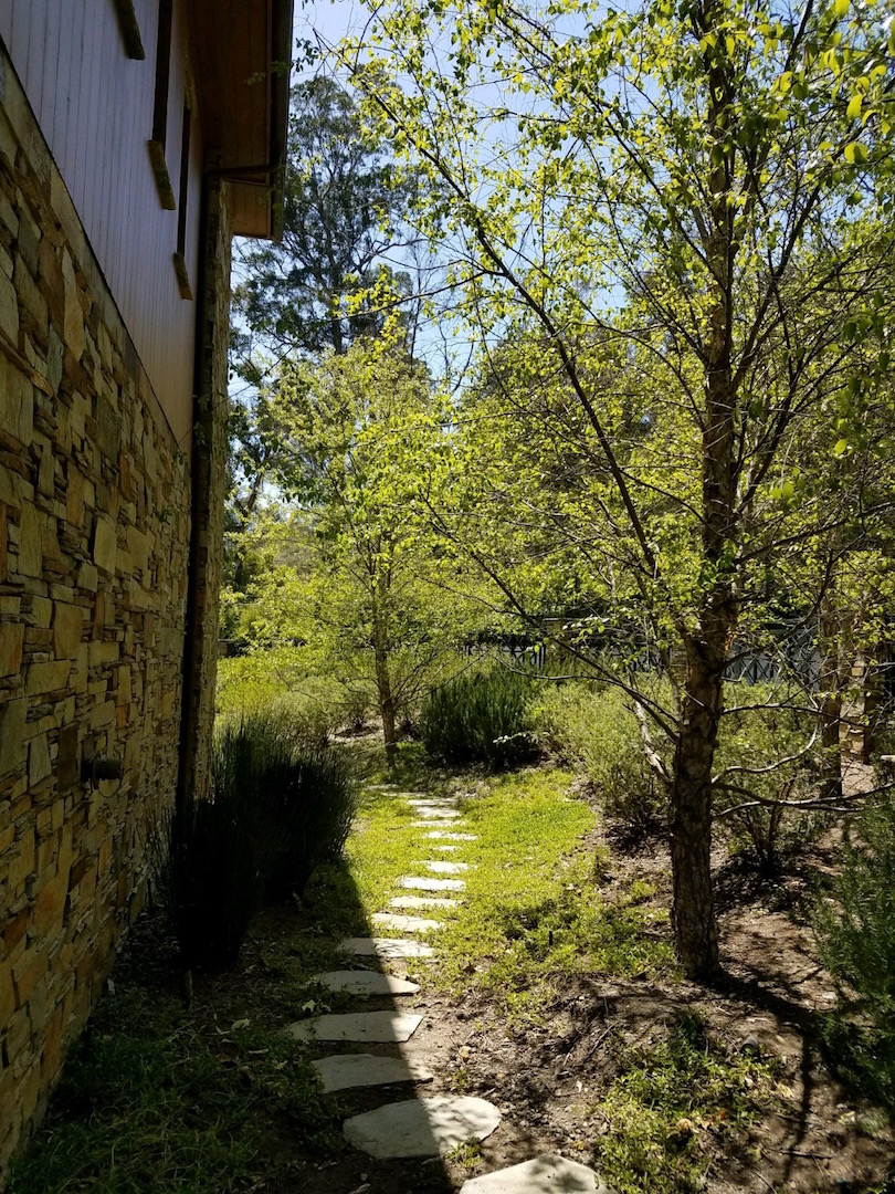 rock tiled walkway through a garden