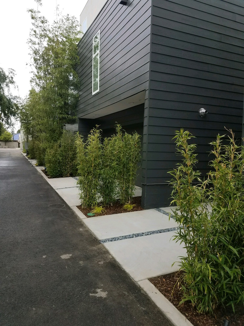 planters along entryway