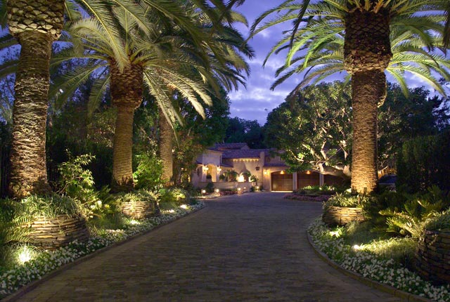 cobbled driveway between palm trees